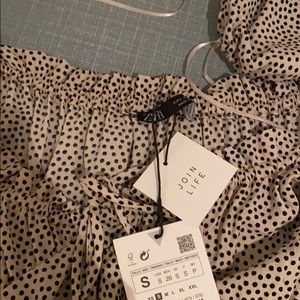Zara Polka Dot Dress